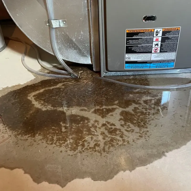 Pipe Burst and Leak Restoration in Wright-Patterson AFB, OH