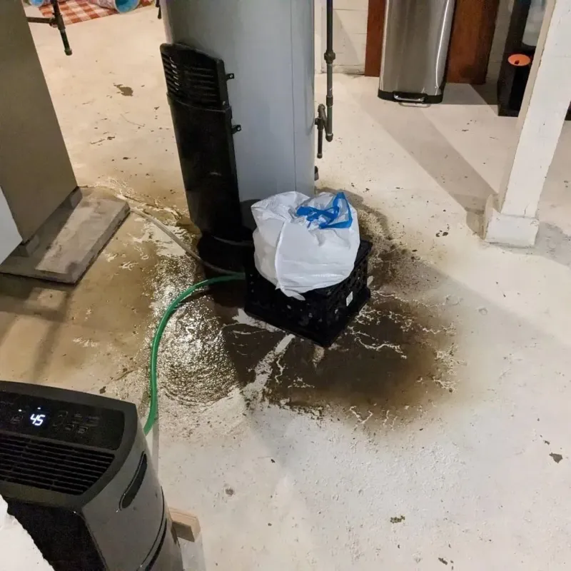 Sewage Backup Cleanup Service in Wright-Patterson AFB, OH